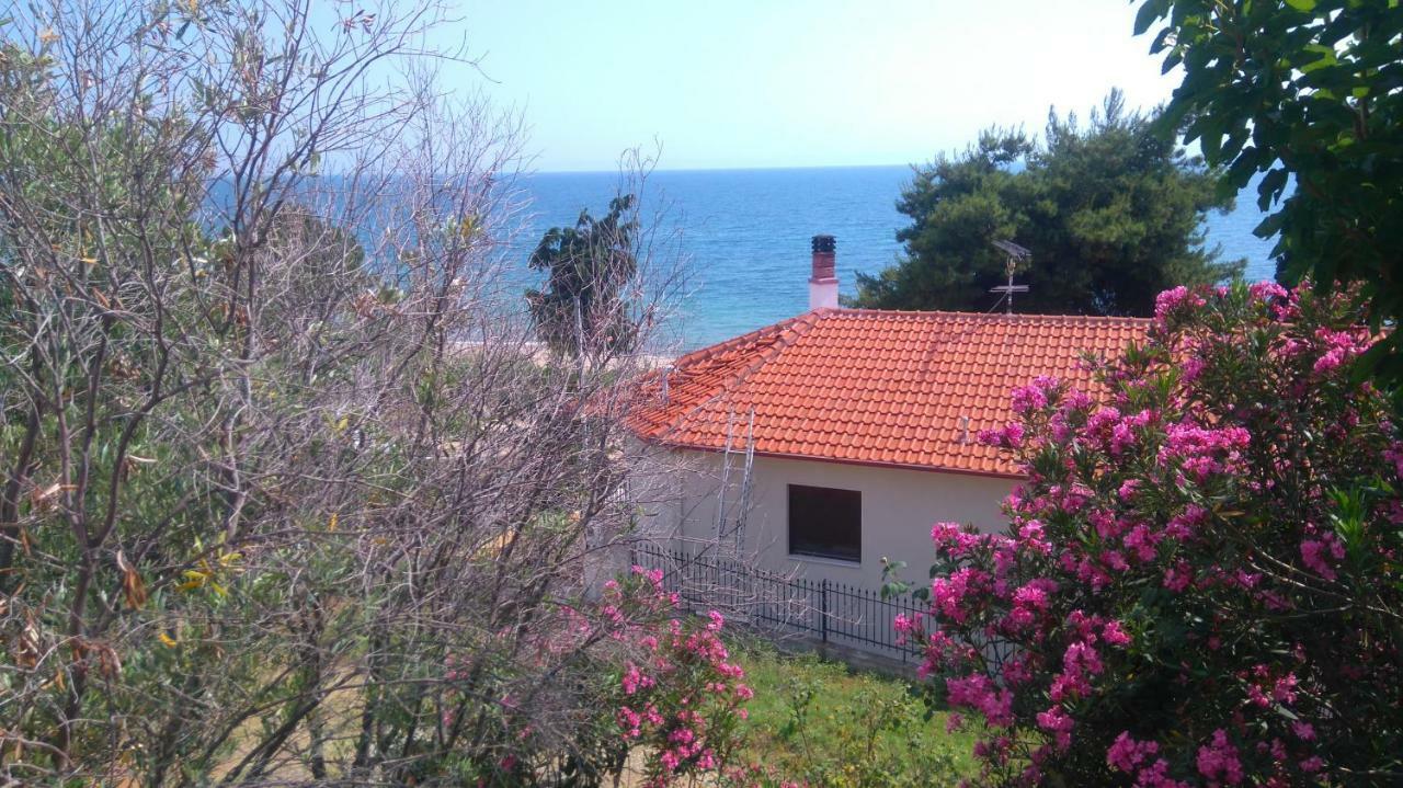 Maisonette Close To The Beach Nikiti (Sithonia) Exterior foto